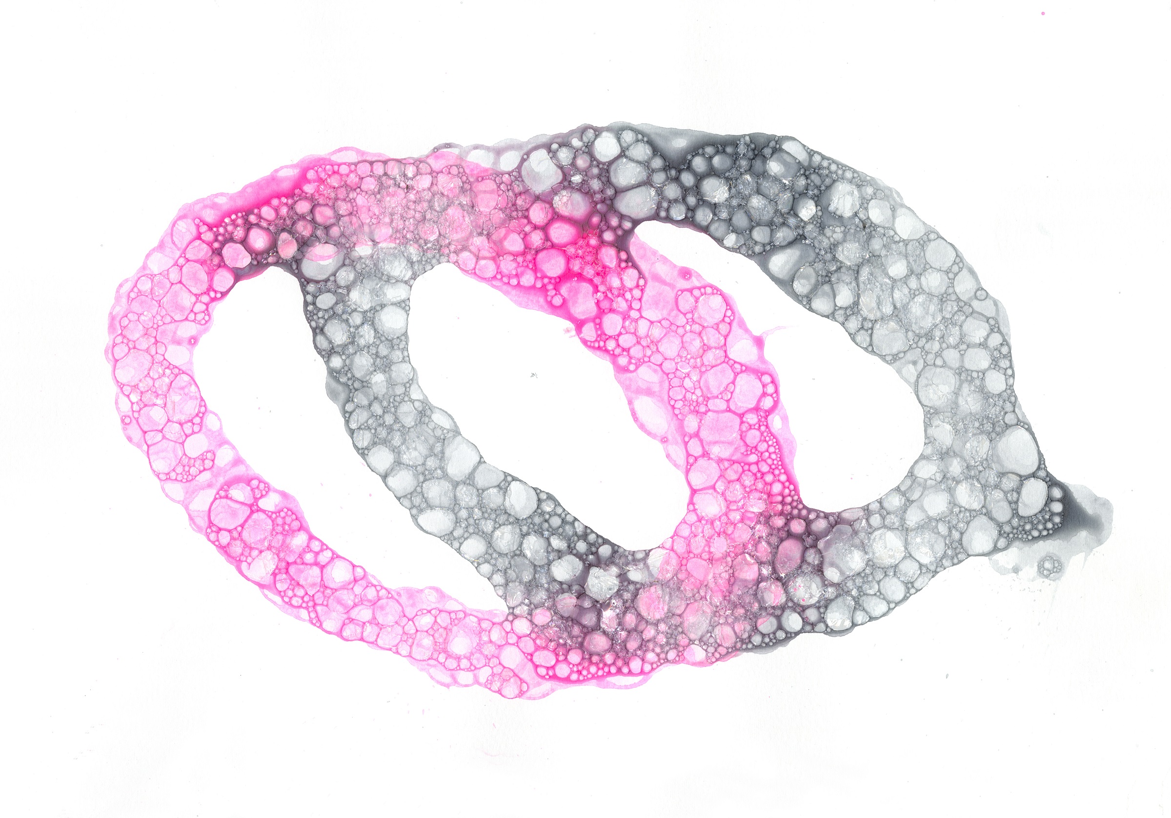 Bubble Plotter — drawing 3
