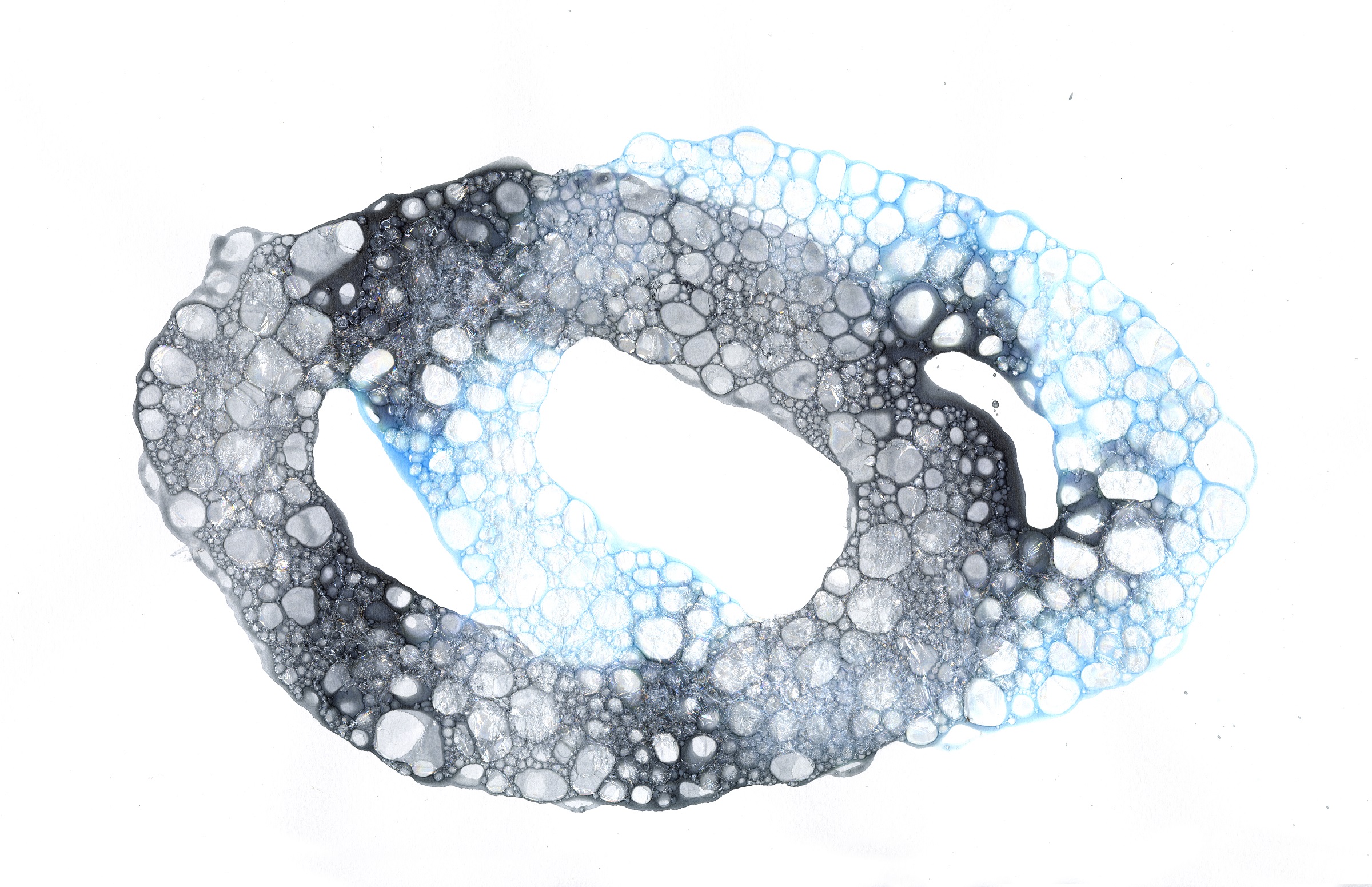 Bubble Plotter — drawing 7