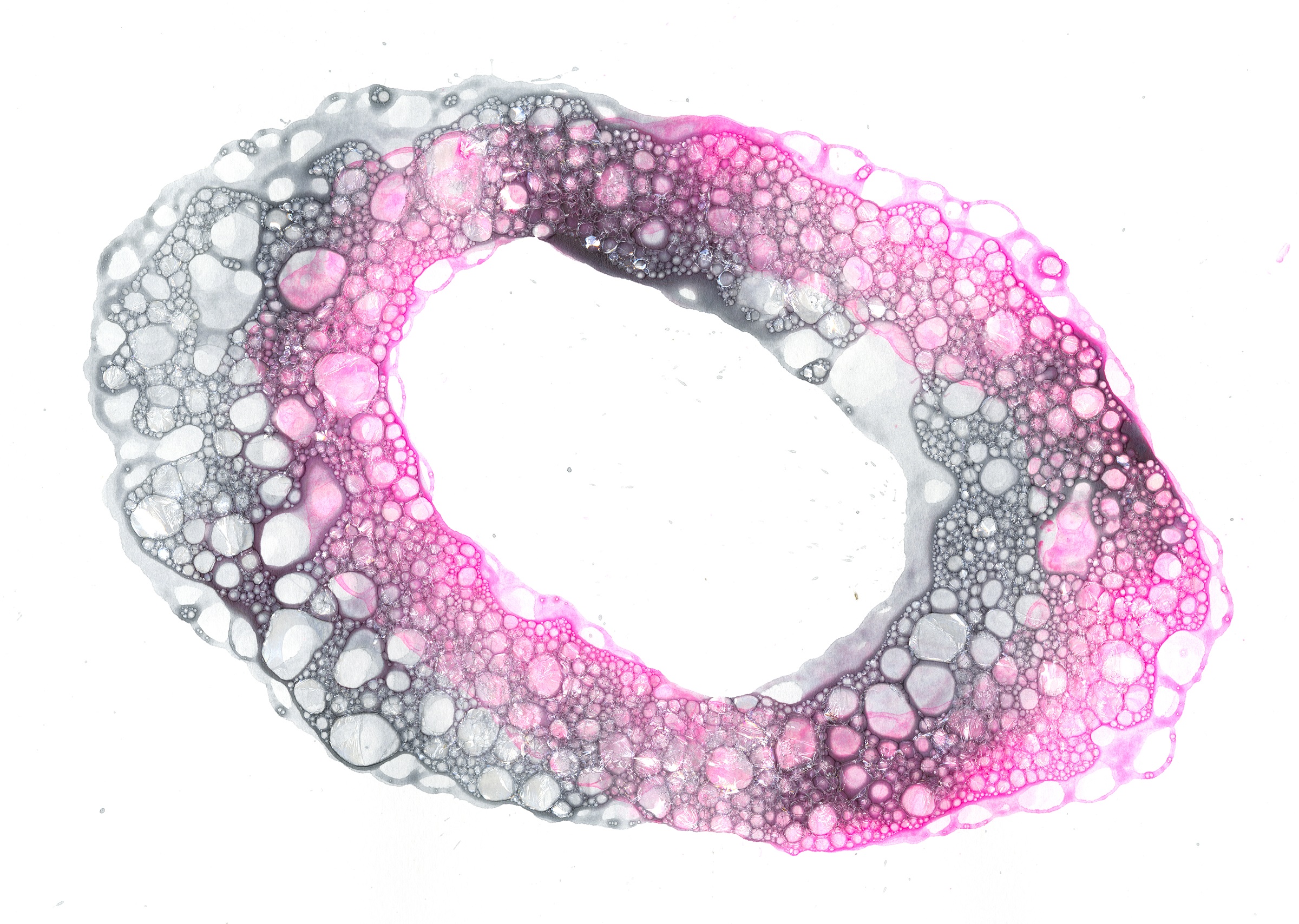 Bubble Plotter